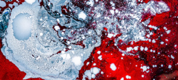 best exhibitions located